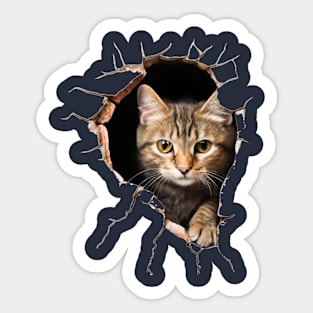 What a cat!? (just an expression) Sticker